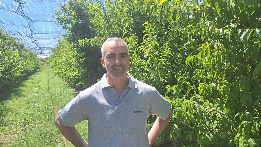 Martino Benzoni, consigliere Apofruit e presidente Canova